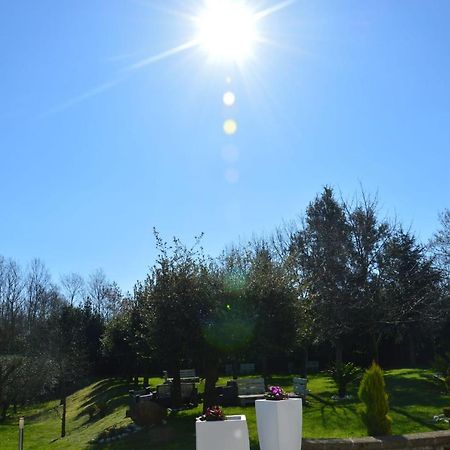 Tenuta Terra Tefra Villa Conca della Campania Exterior foto