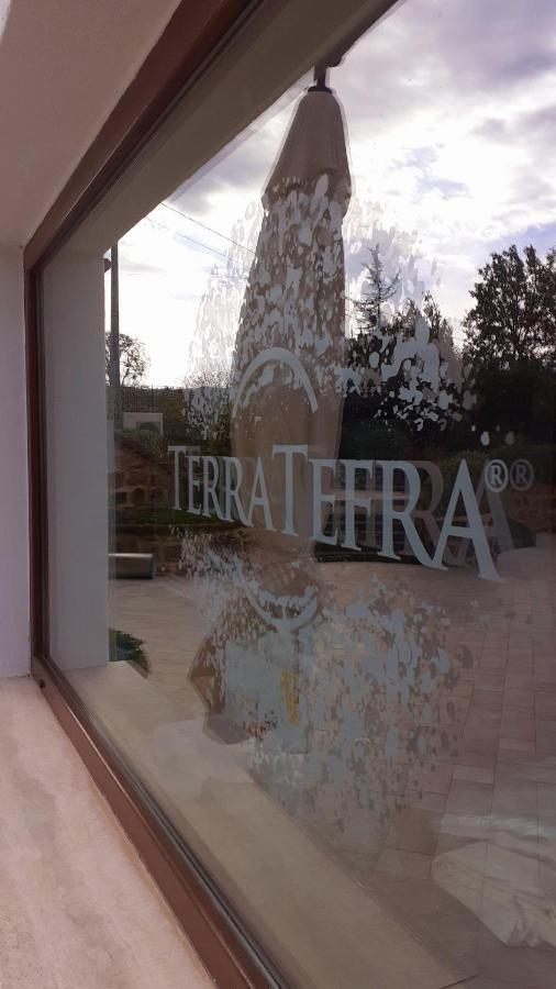 Tenuta Terra Tefra Villa Conca della Campania Exterior foto