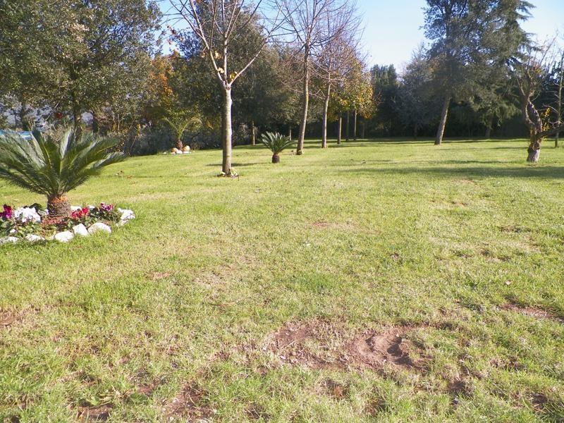 Tenuta Terra Tefra Villa Conca della Campania Exterior foto