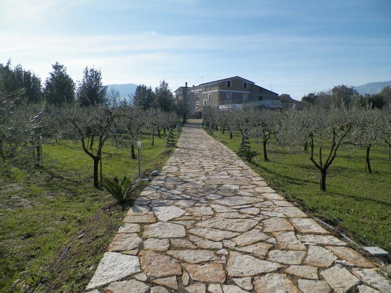 Tenuta Terra Tefra Villa Conca della Campania Exterior foto